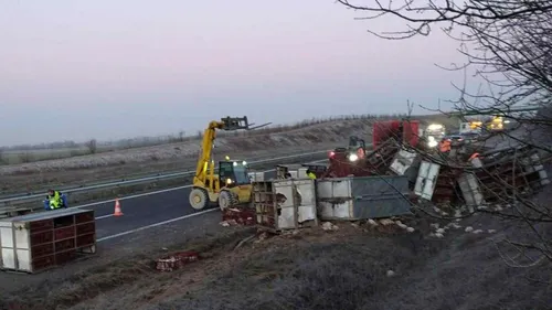 Un camion perd son chargement de 6200 volailles sur l'autoroute. 