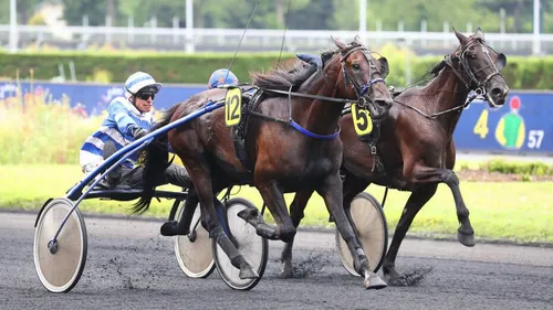 Steenwerck: Il mise 2€ et remporte 397 200€ au Quinté +