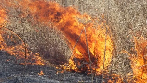 Fortes chaleurs et risque sévère d'incendie des espaces naturels :...