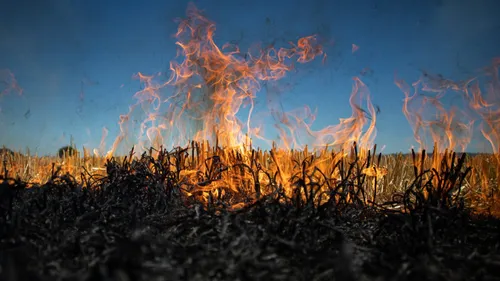 Un incendiaire de 31 ans interpellé à Lille 