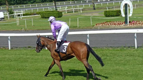 Une lilloise gagne plus d'1 million d'euros au Quinté