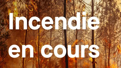 Incendie en Gironde : point de situation ce vendredi matin