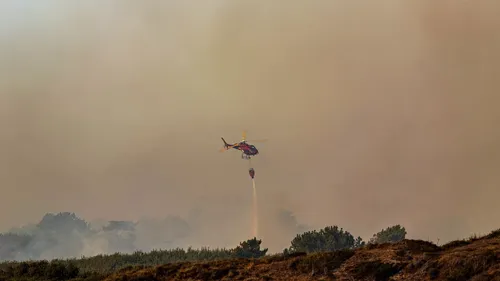 Incendie entre Dannes, Camiers et Hardelot : d’importants moyens...