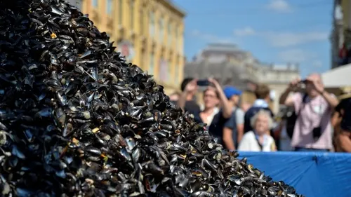 La ville de Lille propose une visite guidée sur le thème de la...