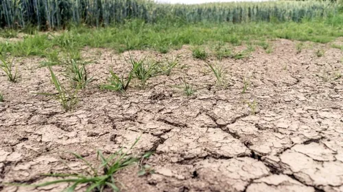Nord: La vigilance sécheresse prolongée 