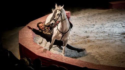 GAGNEZ VOS PLACES POUR ASSISTER AU SPECTACLE CAVALLISSIMO D'ART'ATA...