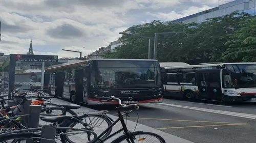 Métropole lilloise : ilévia recrute des conducteurs de bus