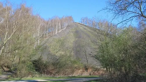 Ostricourt: La demande en mariage tourne mal