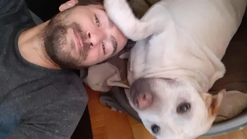 Lens : Un chien en balade tué par un policier