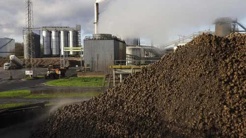 Tereos, la dernière sucrerie du Nord repris par le géant belge...