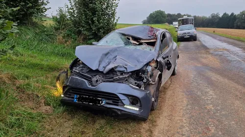 Marenla: 2 chevaux tués dans une collision