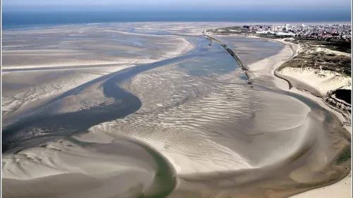 La pêche à pied interdite en baie d'authie
