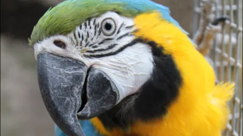 Le parc Argonne Découverte lance un avis de recherche pour...