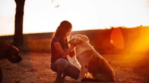 Un salon dédié au bien-être des animaux.