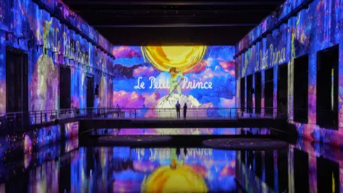 Le Petit Prince fait son grand retour en nocturne aux Bassins des...