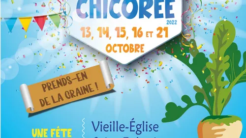 Région d'Audruicq: La fête de la chicorée revient ce week-end! 