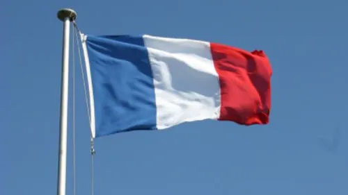 Ils tentent de brûler le drapeau Français
