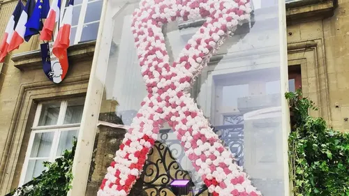Octobre Rose : un ruban composé de 700 fleurs à Charleville 