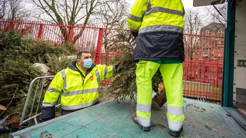 Lille : offrez une seconde vie à votre sapin de Noël