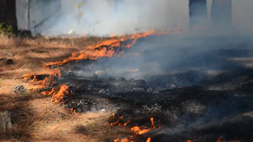 La Haute-Garonne en danger très élevé de risque d’incendie