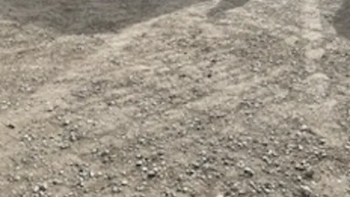 300 à 400 personnes réunies pour une "free party" dans les bois