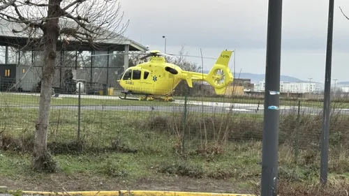 Il n'a malheureusement pas survécu à ses blessures