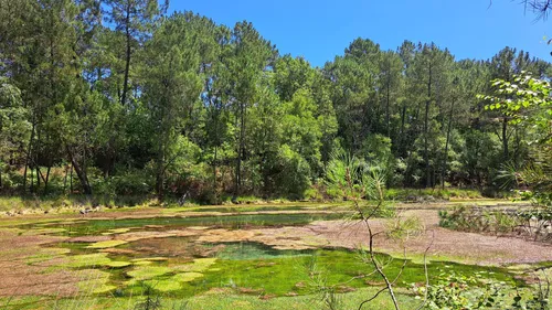 Hostens : un riche programme entre avril et octobre!