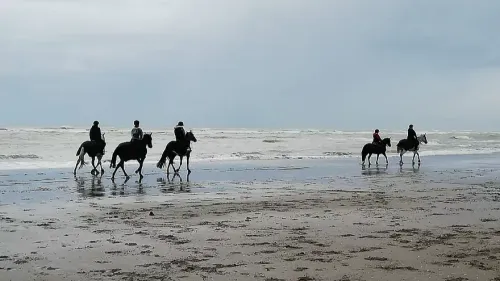 Le Touquet: Deux chevaux sèment la zizanie en ville 