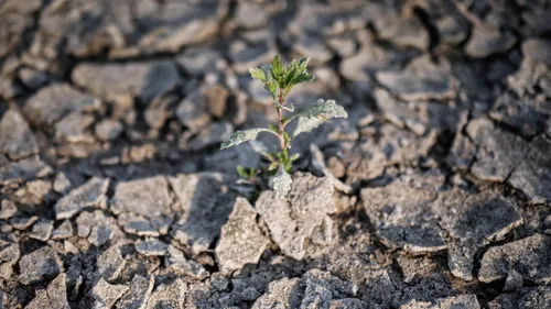 Le Pas-de-Calais en vigilance sécheresse