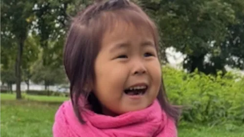 L'alerte enlèvement déclenchée après la disparition d'une fillette