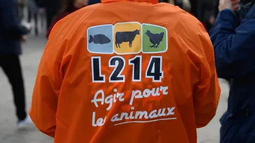 L214 dénonce les mauvais traitements pratiqués dans un élevage de...