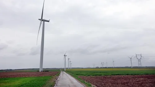 Un bébé sans vie découvert dans un bidon en bordure de champs près...