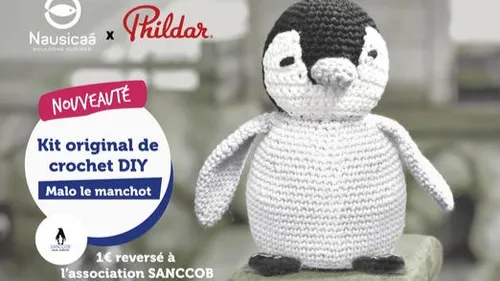 Nausicaa et Phildar s’engagent pour la protection des oiseaux marins