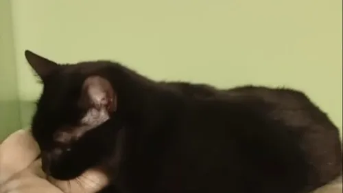 "Il faut que cela stoppe !"