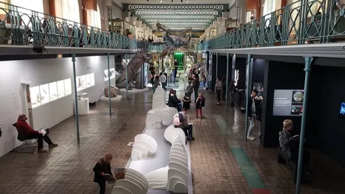 Un week-end festif pour la fermeture du Musée d'Histoire Naturelle...