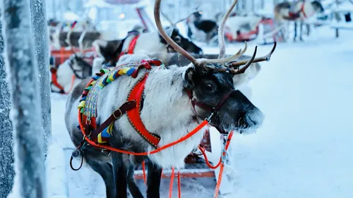 Toulouse s’apprête à faire voyager ses passagers, en vol direct,...
