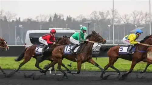 Les Pronostics Hippiques de Sébastien Mortagne : Dimanche 18 Janvier