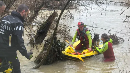 Inondations : sauvetage d'un chien sur la Garonne 