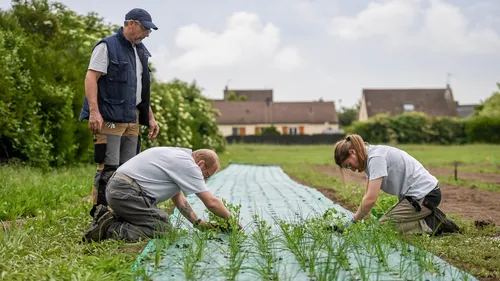 Quand écologie et inclusion prennent racine au Stade de Reims.