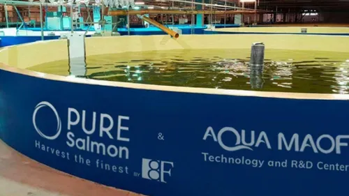 Boulonnais : Pure Salmon abandonne son projet d’élevage intensif de...