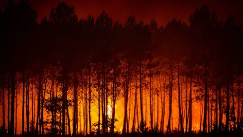 Incendies : le point de situation ce mardi 28 juillet