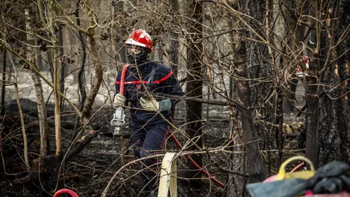 Trois hectares de forêt ravagés par un incendie près de Reims