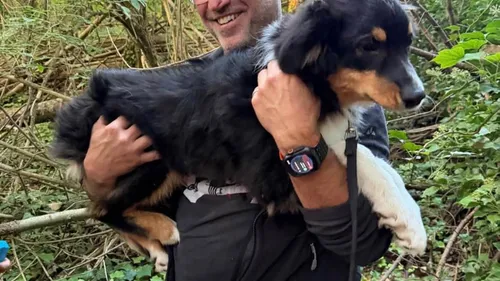 Le village se mobilise pour retrouver Sherlock