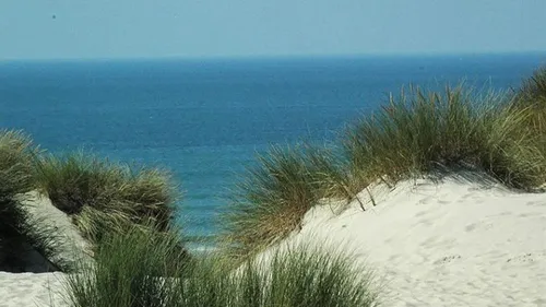 Montreuil : un cheval disparaît en mer au large de Stella-plage