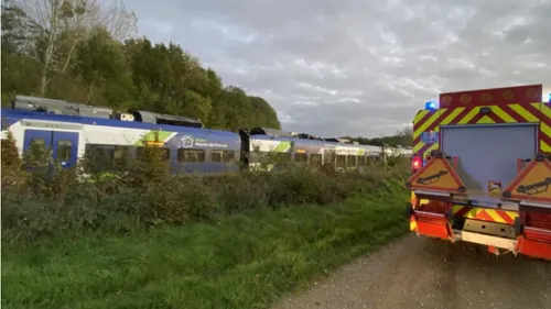 Un piéton mortellement percuté par un train