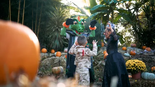 Walloween bientôt de retour à Waligator Sud-Ouest 