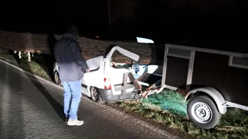 Un chien tué dans un accident