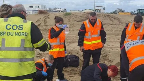 Loon-Plage : un jeune meurt après un accident sur le circuit de...