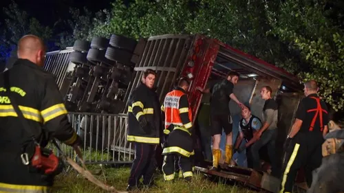 Houtkerque : l’association PETA demande une stèle pour les cochons...