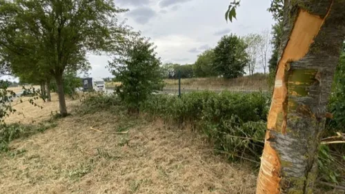 Pas-de-Calais : un jeune de 21 ans décède après une sortie de route...